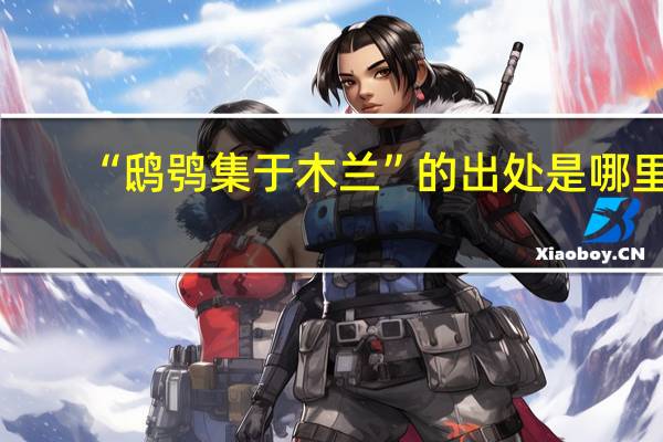 “鸱鸮集于木兰”的出处是哪里
