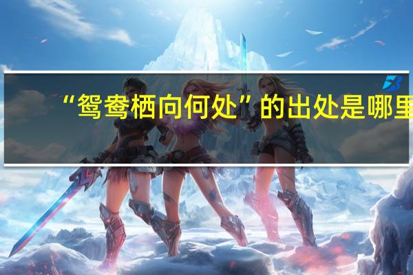 “鸳鸯栖向何处”的出处是哪里