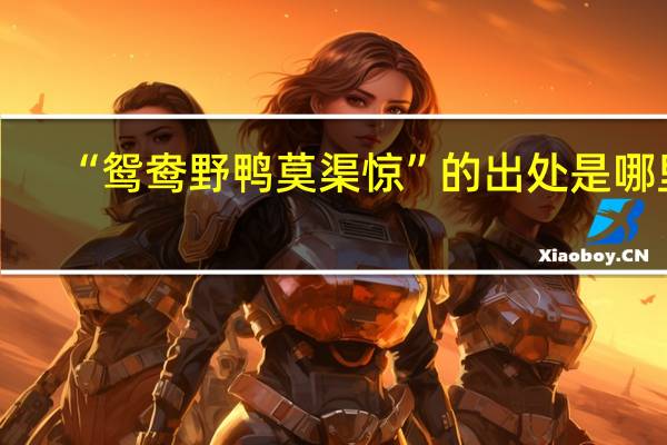 “鸳鸯野鸭莫渠惊”的出处是哪里