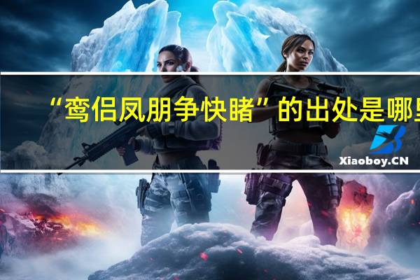 “鸾侣凤朋争快睹”的出处是哪里