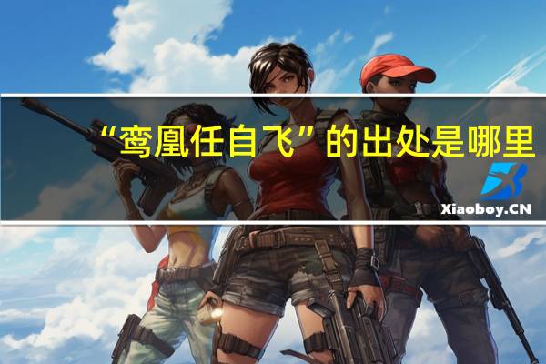 “鸾凰任自飞”的出处是哪里