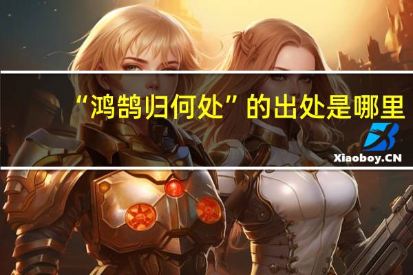 “鸿鹄归何处”的出处是哪里