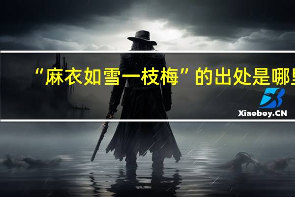 “麻衣如雪一枝梅”的出处是哪里