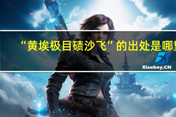 “黄埃极目碛沙飞”的出处是哪里