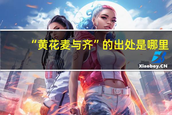 “黄花麦与齐”的出处是哪里
