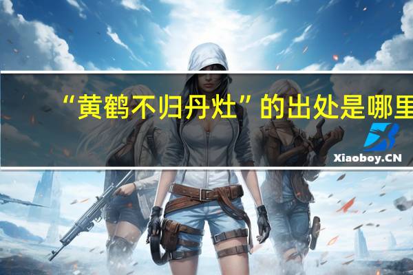 “黄鹤不归丹灶”的出处是哪里