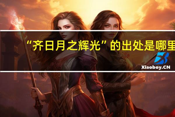 “齐日月之辉光”的出处是哪里
