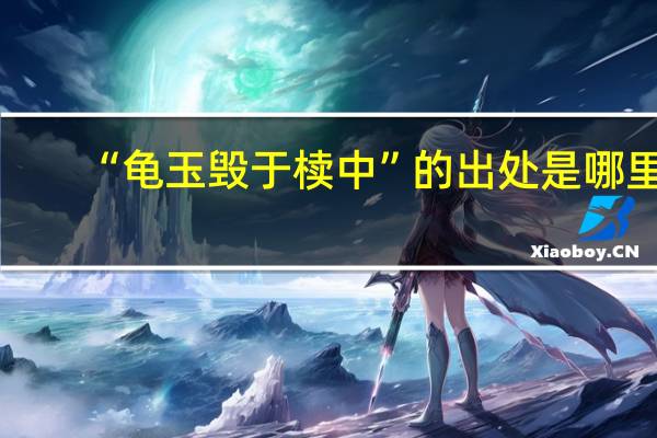 “龟玉毁于椟中”的出处是哪里