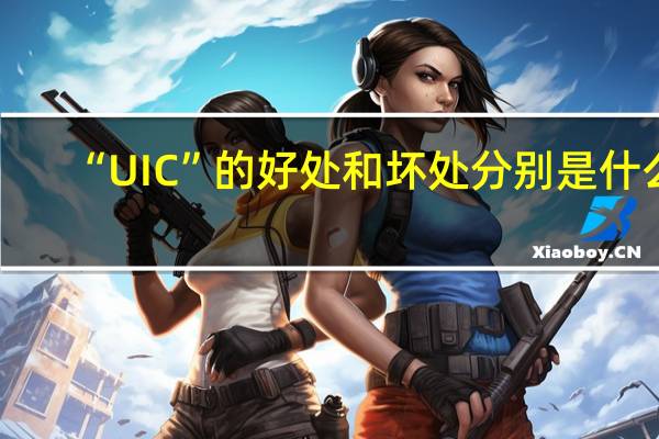 “UIC”的好处和坏处分别是什么