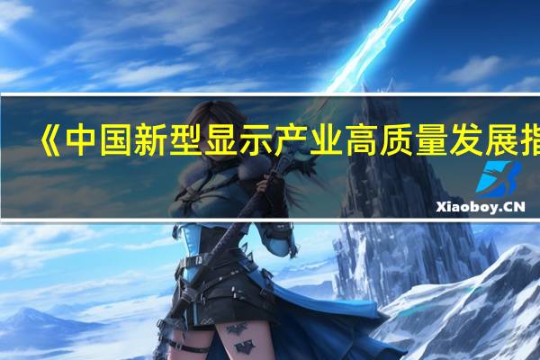 《中国新型显示产业高质量发展指数(2023年)》发布
