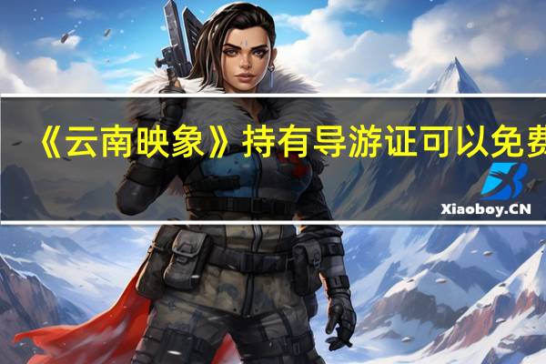《云南映象》持有导游证可以免费吗