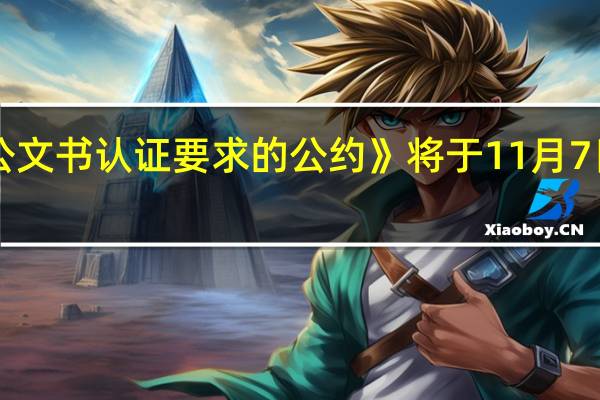 《取消外国公文书认证要求的公约》将于11月7日在中国生效实施