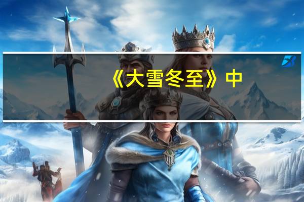 《大雪冬至》中，有哪些精彩的镜头