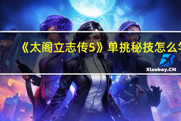 《太阁立志传5》单挑秘技怎么学