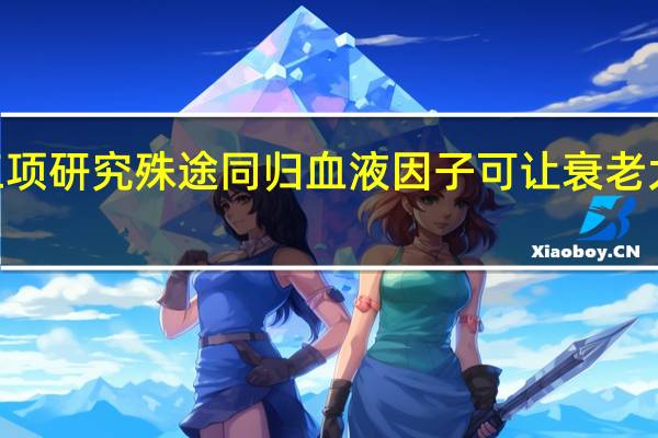 《自然》三项研究殊途同归 血液因子可让衰老大脑“逆转时光”