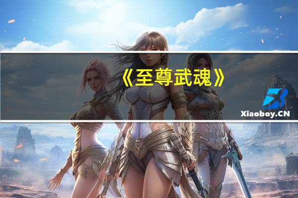 《至尊武魂》（武魂至尊礼包）
