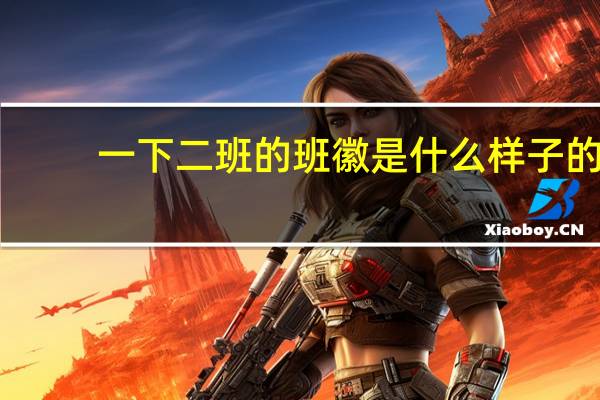 一下二班的班徽是什么样子的