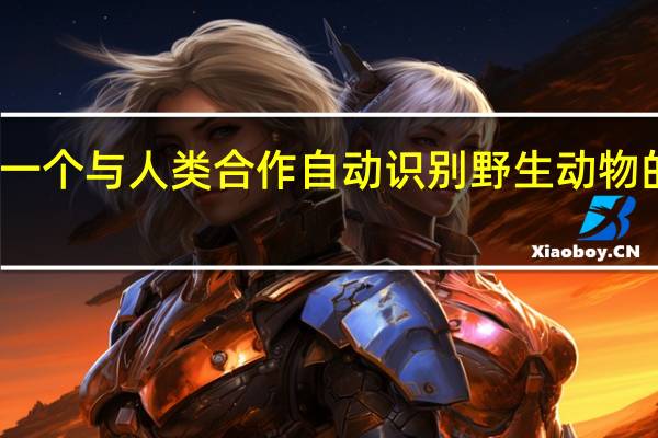 一个与人类合作自动识别野生动物的框架