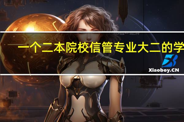 一个二本院校信管专业大二的学生.迷茫中.