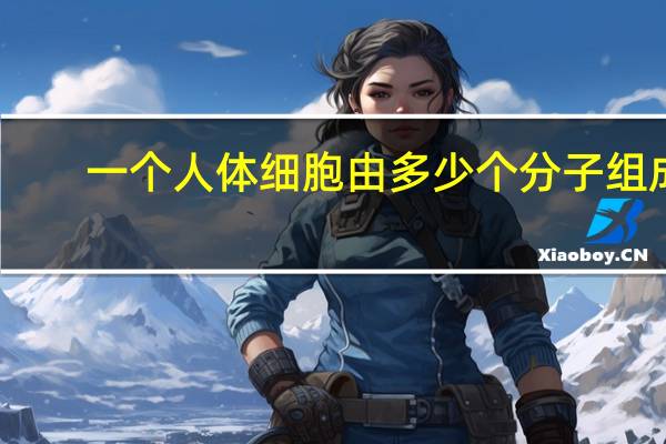 一个人体细胞由多少个分子组成