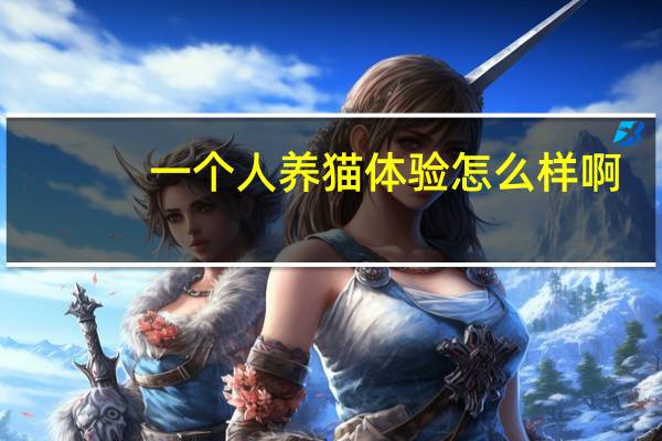 一个人养猫体验怎么样啊