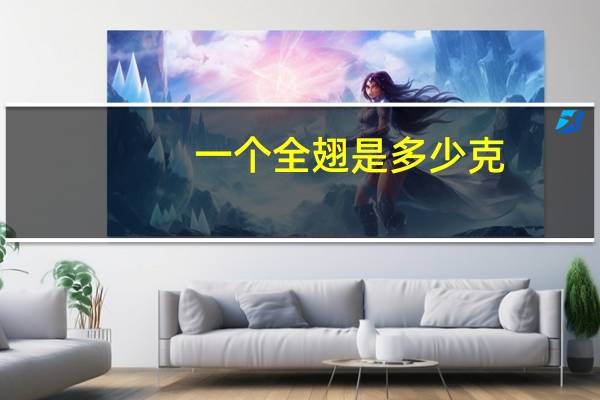一个全翅是多少克