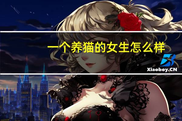 一个养猫的女生怎么样