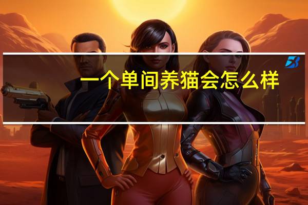 一个单间养猫会怎么样