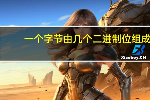 一个字节由几个二进制位组成,可以存多少个整数位