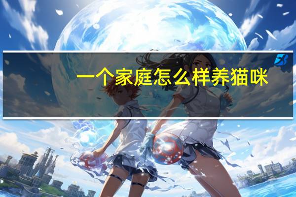 一个家庭怎么样养猫咪