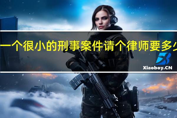 一个很小的刑事案件请个律师要多少钱啊
