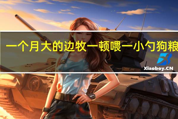 一个月大的边牧一顿喂一小勺狗粮够吗