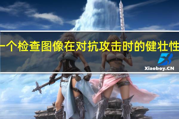 一个检查图像在对抗攻击时的健壮性的平台