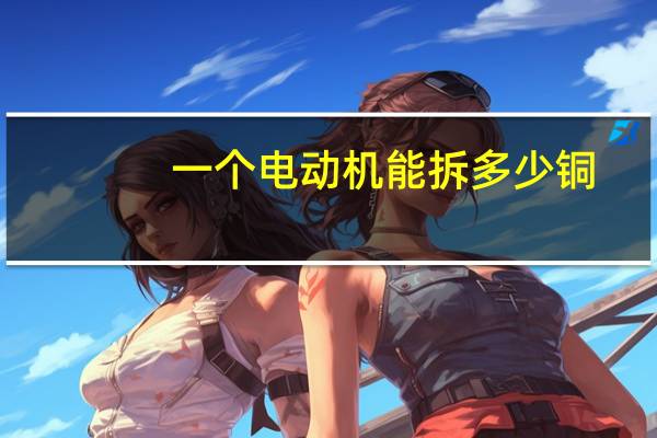 一个电动机能拆多少铜