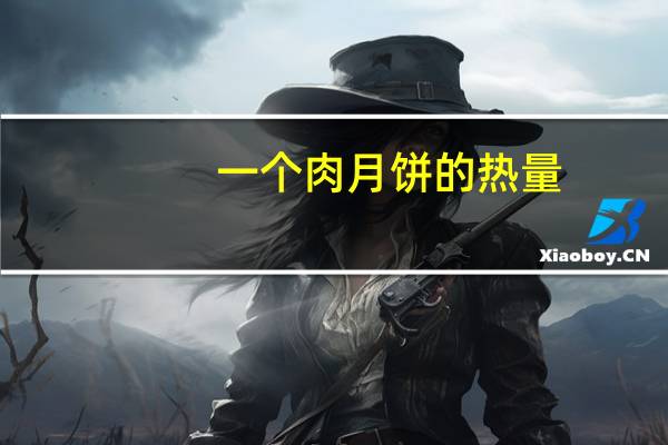 一个肉月饼的热量（月饼的热量）