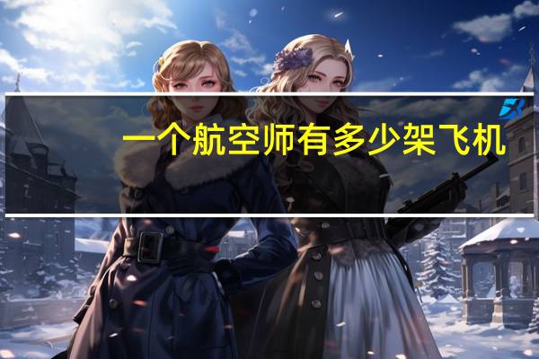 一个航空师有多少架飞机