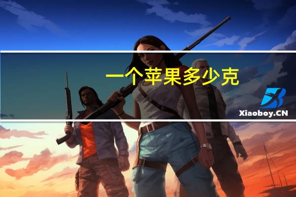 一个苹果多少克