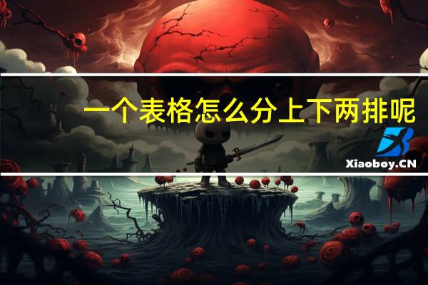 一个表格怎么分上下两排呢