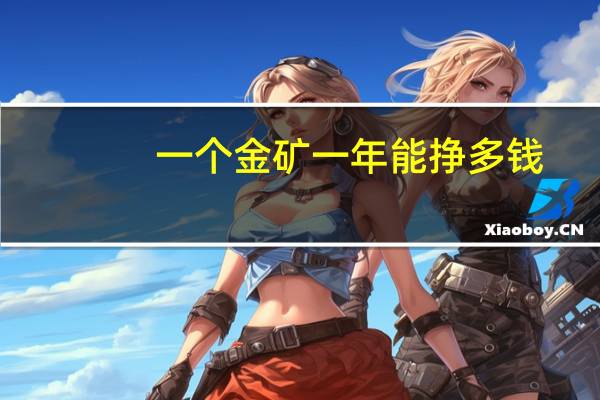 一个金矿一年能挣多钱（百度金矿一天能赚多少）