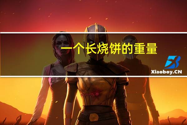 一个长烧饼的重量