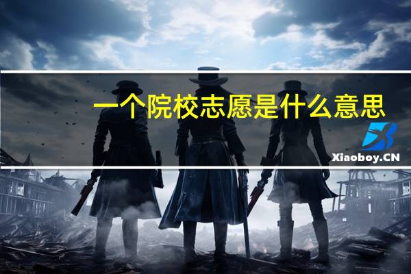 一个院校志愿是什么意思