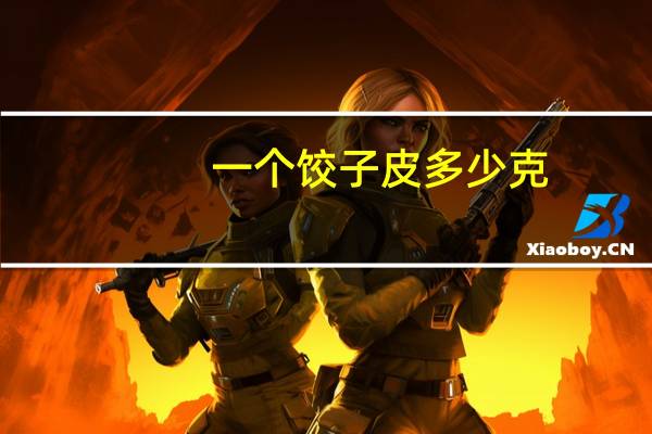 一个饺子皮多少克