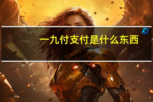 一九付支付是什么东西