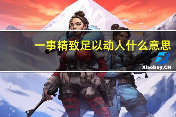 一事精致足以动人什么意思
