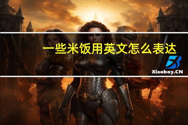 一些米饭用英文怎么表达？