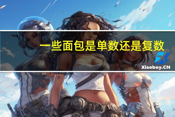 一些面包是单数还是复数