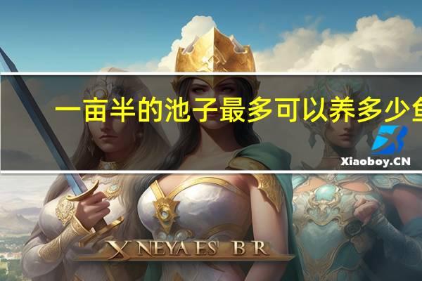 一亩半的池子最多可以养多少鱼