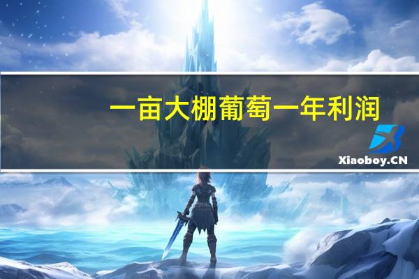 一亩大棚葡萄一年利润