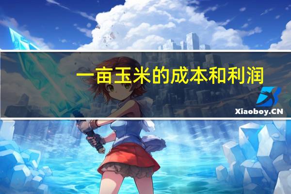 一亩玉米的成本和利润