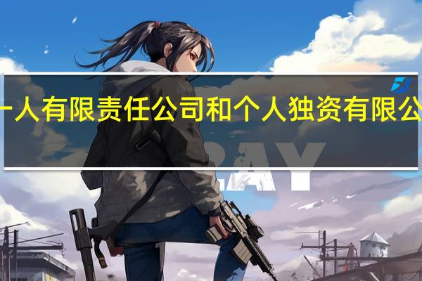 一人有限责任公司和个人独资有限公司图片（一人有限责任公司和个人独资企业）